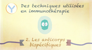 Les anticorps bispécifiques - vidéos d'animation traitant des techniques en immunothérapie